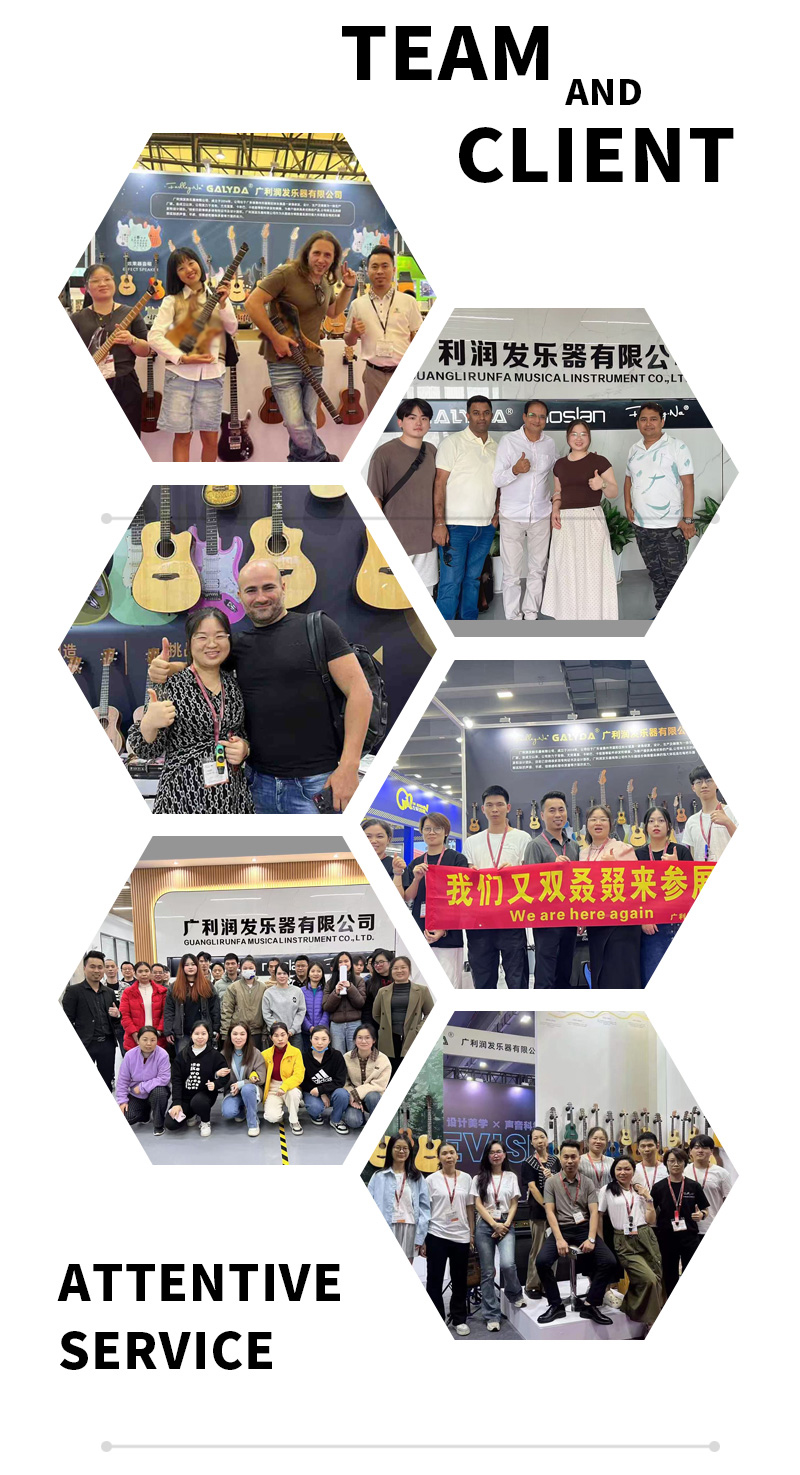 Electric Guitar Showcase 5
