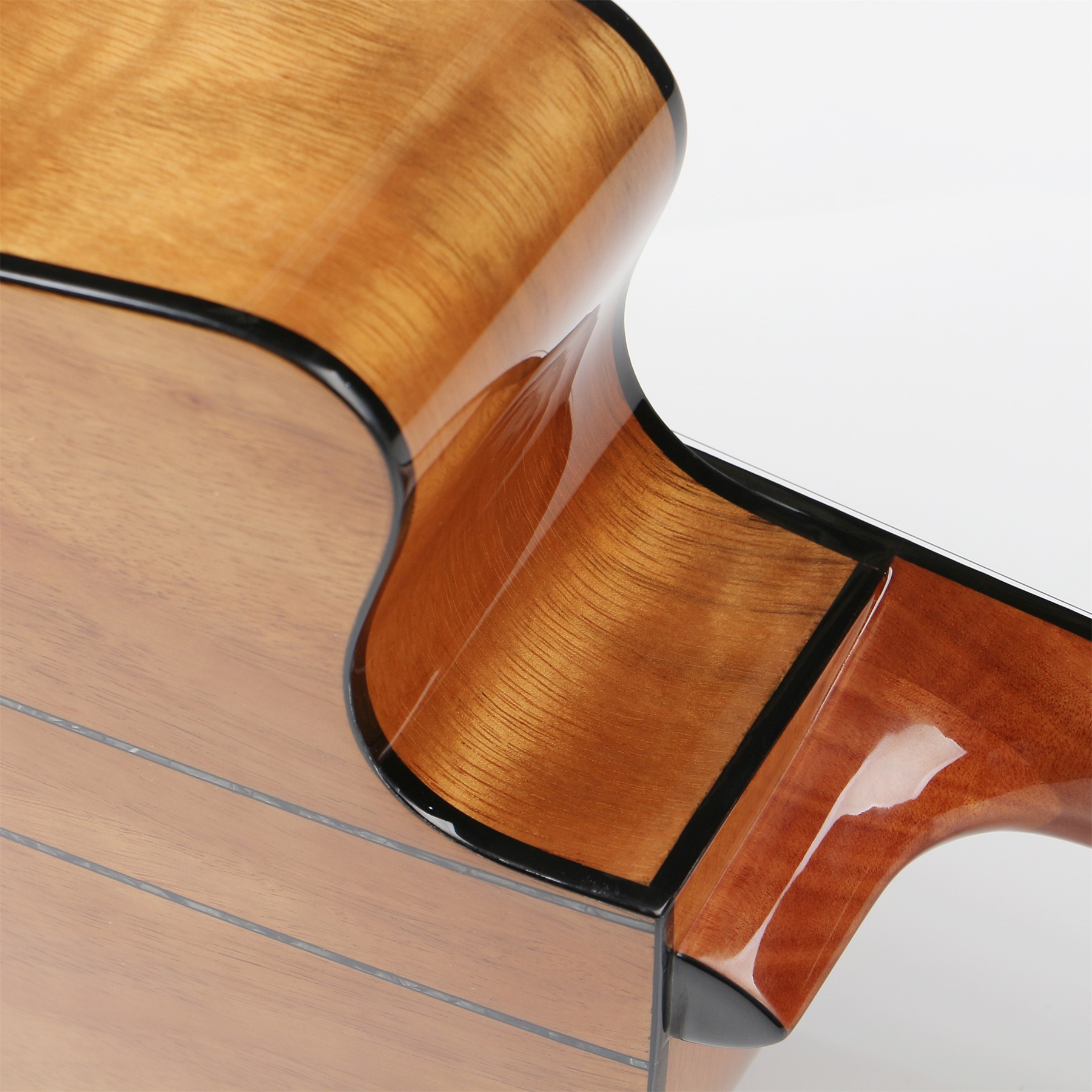Acoustic Guitar Detail