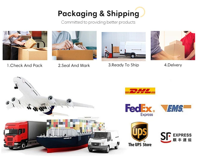 Secure Packing and Worldwide Delivery Process