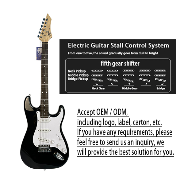 Electric Guitar Detail 4