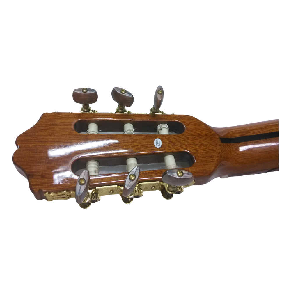 Guitar View 4