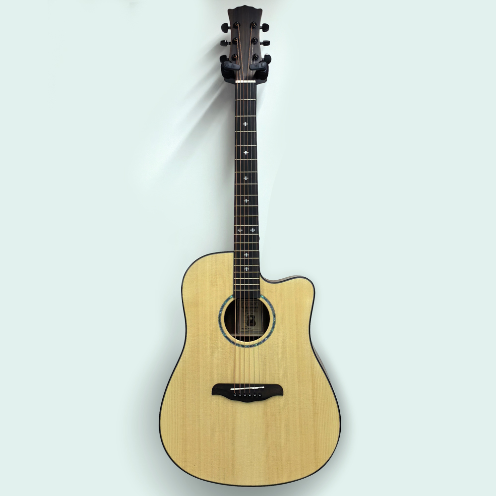 Acoustic Guitar Detail