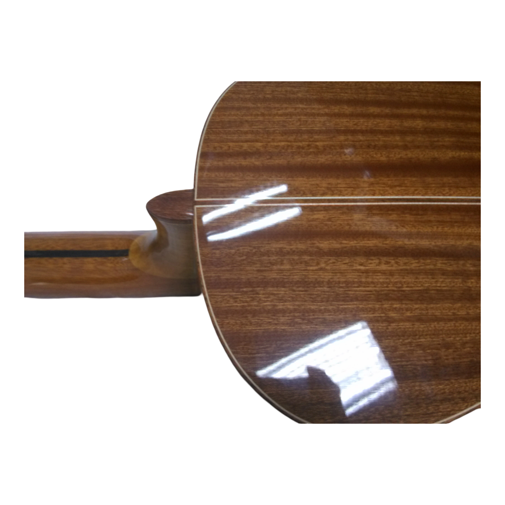 Guitar View 2