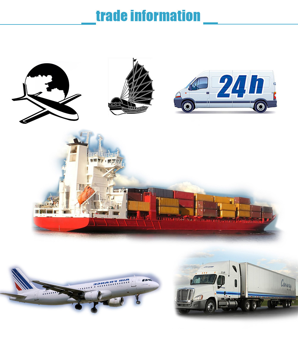 Shipping Logistics Operations
