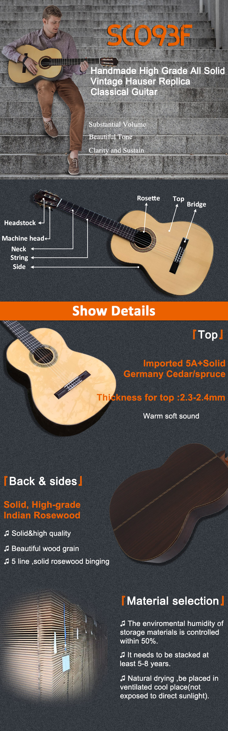 Classical Guitar Detail