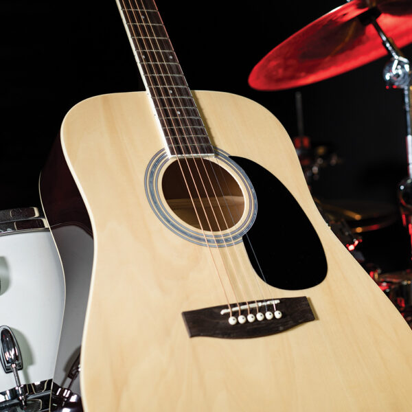 Jay Turser JJ45 soundhole, abalone rosette, and pickguard detail