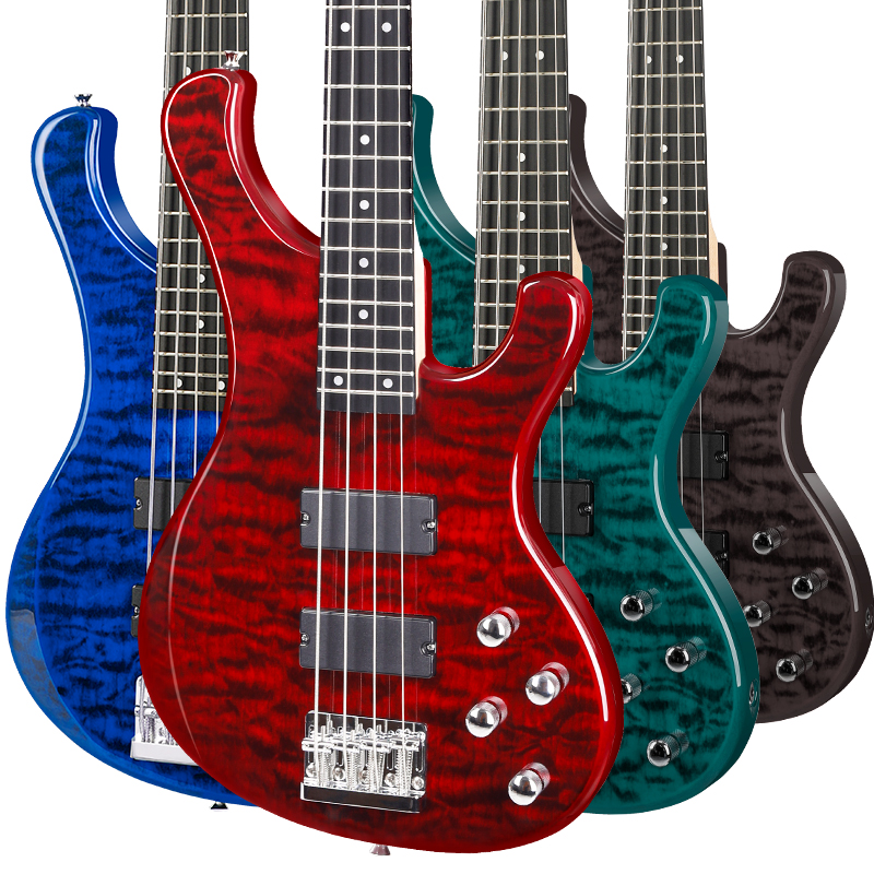 5 String Electric Bass Guitar Music Equipment Stringed Instrument Safinador De Bass Left Handed Electric Bass Guitar