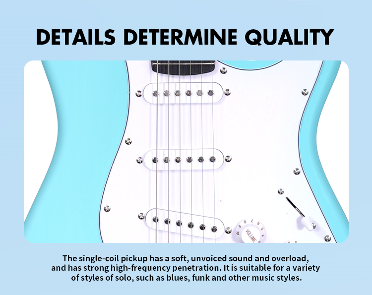 Guitar Hardware Detail