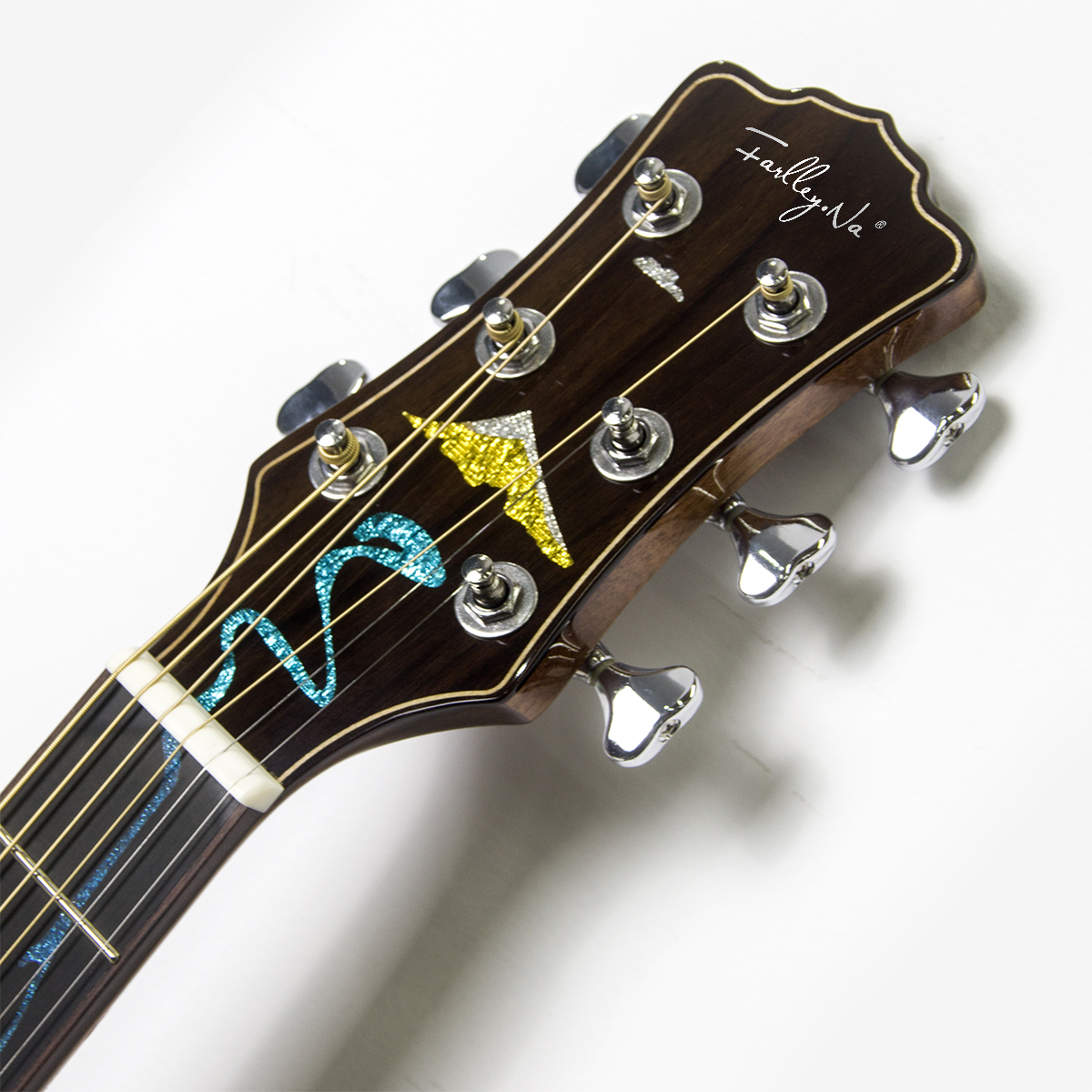 Acoustic Guitar Detail