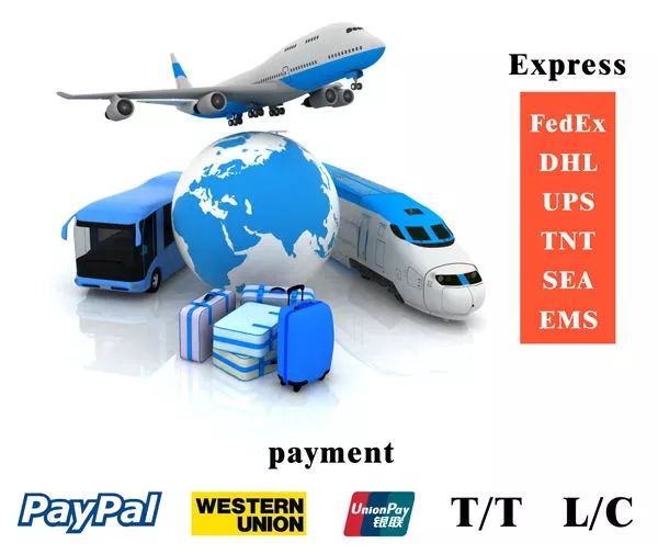 Safe Transportation Details