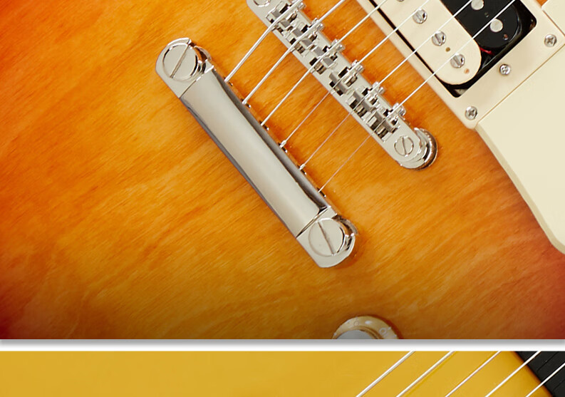 Electric Guitar Electronic Controls