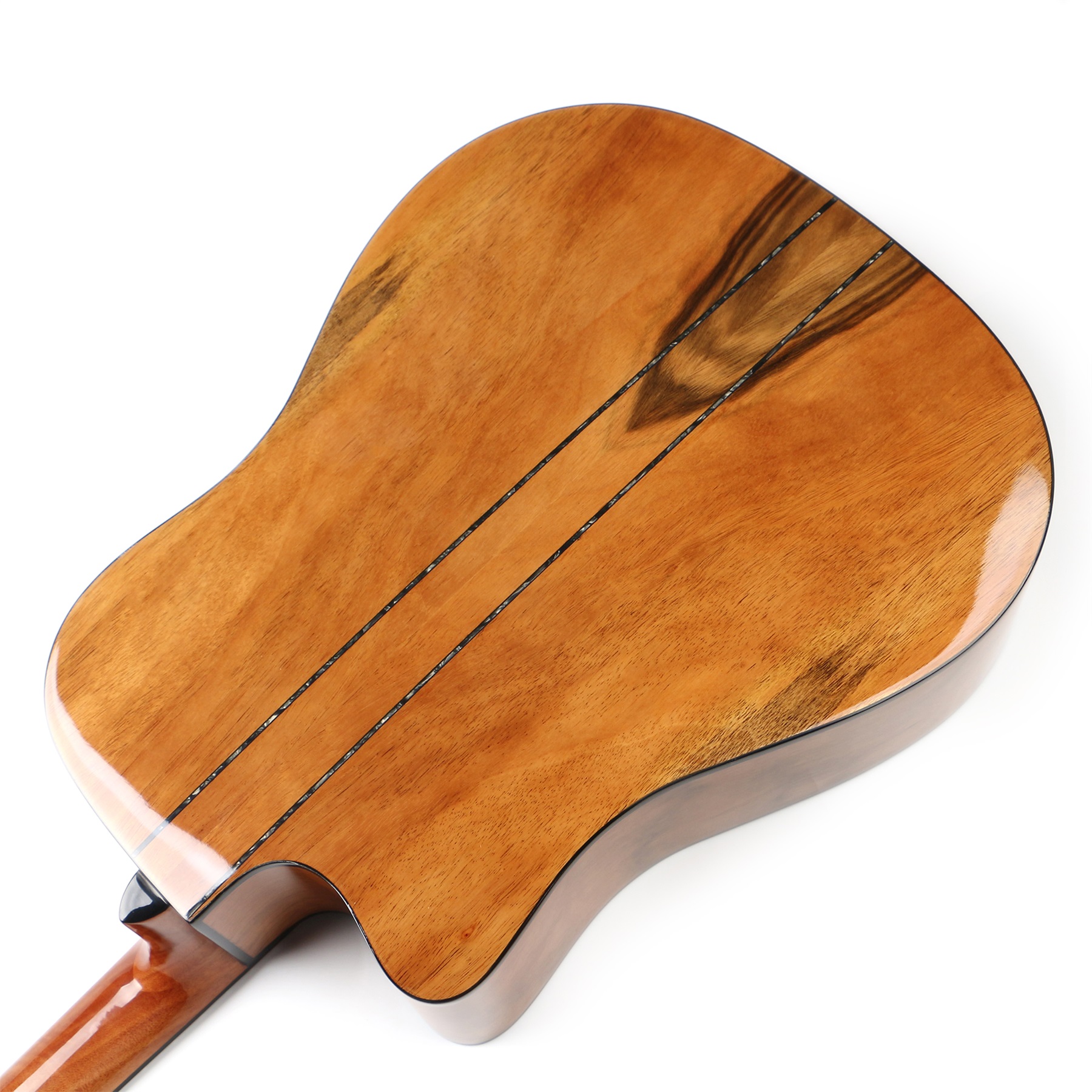 Acoustic Guitar Detail