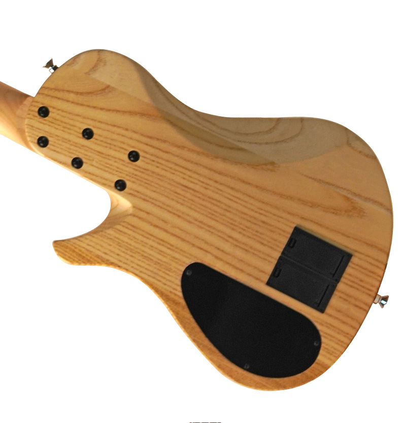 Electric Bass Detail View 3