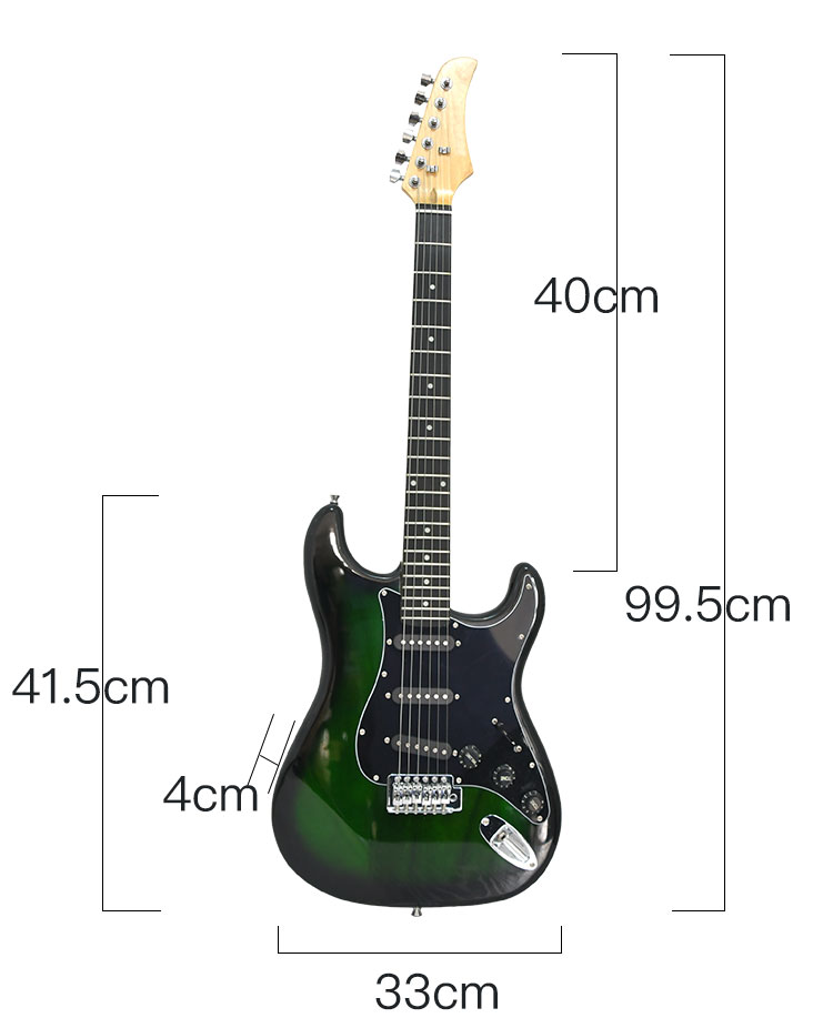 Electric Guitar Accessories