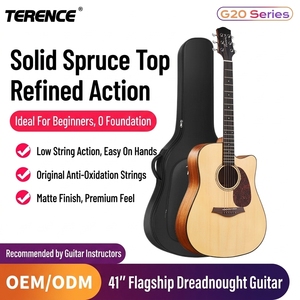 Terence G20 Classical Guitar for Music School